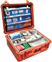 EMS/First Aid Cases EMS/First Aid Cases